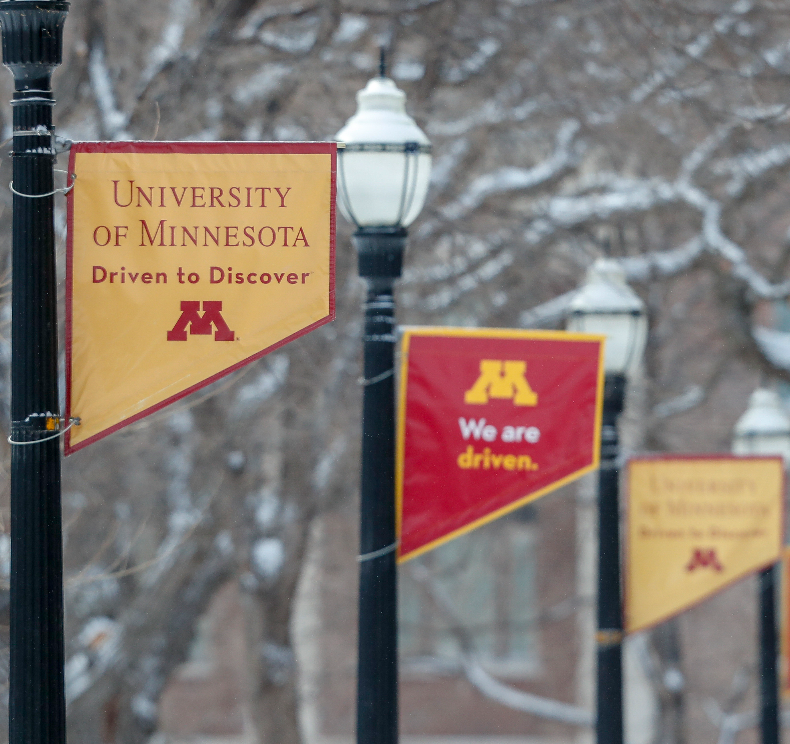 Three University of Minnesota banners on separate lightposts.