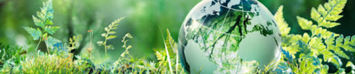 transparent globe in green grass