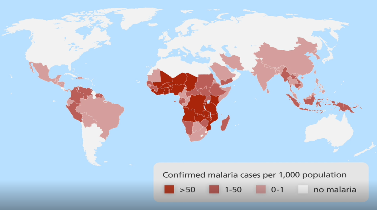 Malaria Mortality Prevention in the East African Highlands Banner Image